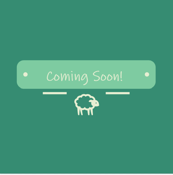 Raw Fleece - Shropshire