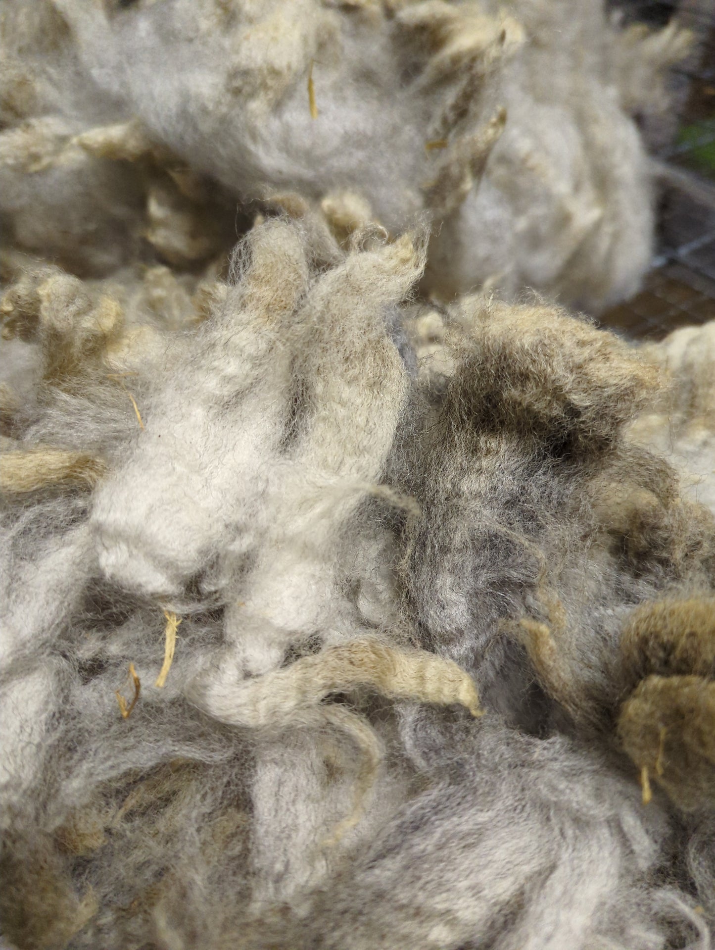 Raw Fleece - Snack Size